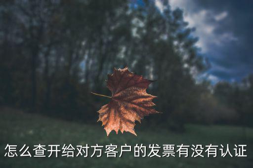 如何查詢未認(rèn)證的發(fā)票嗎，如何查詢開給對方的發(fā)票有沒有認(rèn)證