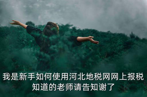 我是新手如何使用河北地稅網(wǎng)網(wǎng)上報(bào)稅知道的老師請(qǐng)告知謝了