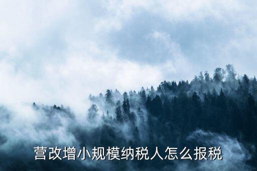 營(yíng)改增小規(guī)模納稅人怎么報(bào)稅