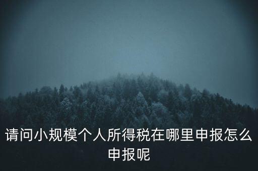 如何申報自然人兩處所得，請問小規(guī)模個人所得稅在哪里申報怎么申報呢