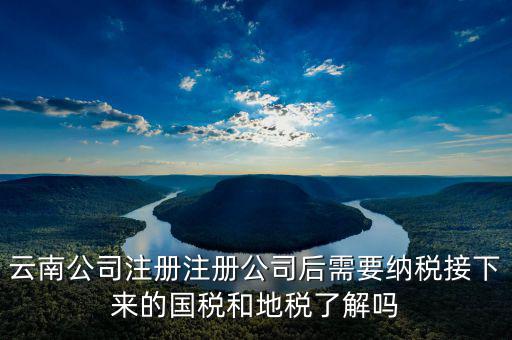 云南國稅如何申報(bào)，云南公司注冊注冊公司后需要納稅接下來的國稅和地稅了解嗎