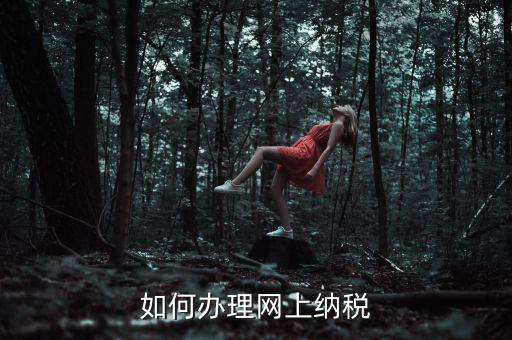 如何辦理網(wǎng)上納稅