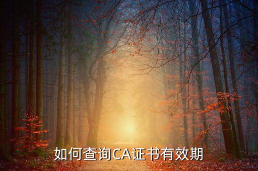 地稅ca如何查詢有效期，從哪里查地稅CA證書過期沒