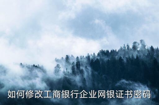 如何修改工商銀行企業(yè)網銀證書密碼