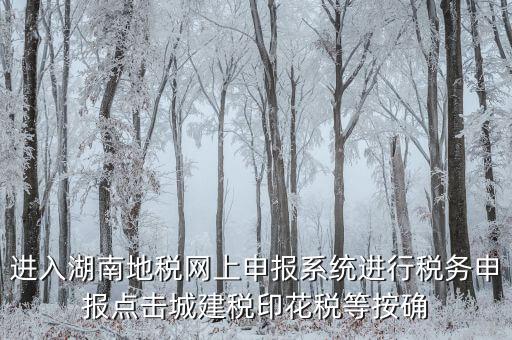 湖南省地稅局個(gè)人如何注冊(cè)，湖南地稅網(wǎng)上申報(bào)系統(tǒng)