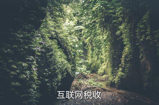 互聯(lián)網(wǎng)稅收