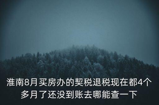 淮南8月買房辦的契稅退稅現(xiàn)在都4個(gè)多月了還沒(méi)到賬去哪能查一下