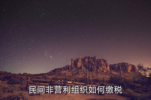 非營利組織如何納稅，民間非營利組織如何繳稅