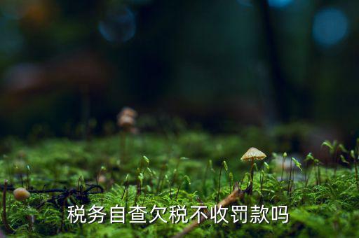 欠稅人員如何查詢，稅務(wù)自查欠稅不收罰款嗎