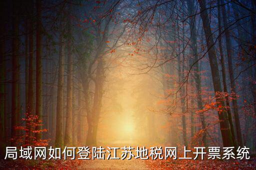 局域網如何登陸江蘇地稅網上開票系統(tǒng)