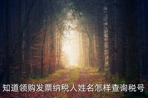 知道領(lǐng)購發(fā)票納稅人姓名怎樣查詢稅號(hào)