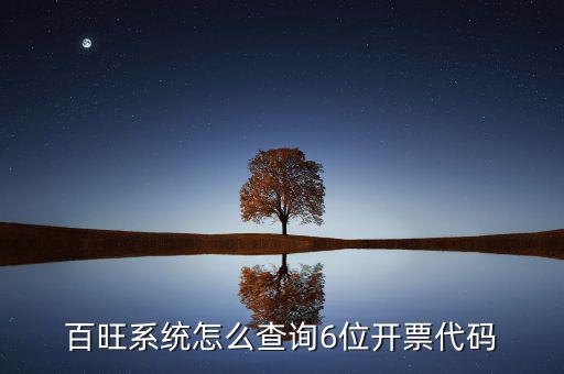 如何獲取開票代碼，增值稅專用發(fā)票開票時輸開票碼是怎么操作