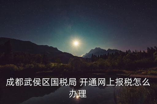 成都武侯區(qū)國稅局 開通網(wǎng)上報稅怎么辦理