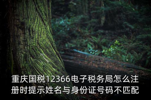 重慶國稅12366電子稅務(wù)局怎么注冊時提示姓名與身份證號碼不匹配