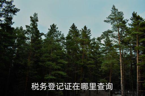 如何查地稅證書，如何查看個(gè)人名下的稅務(wù)證