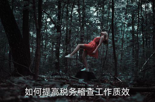 如何提高稅務稽查工作質效