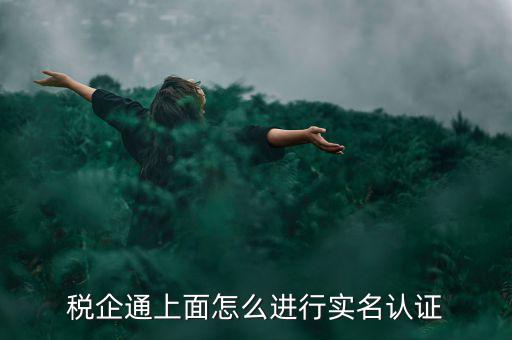 稅企通上面怎么進行實名認證