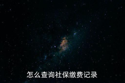 如何在地稅網(wǎng)繳納社保查詢，單位交了社保費(fèi)在地稅網(wǎng)怎么查詢