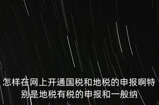 怎樣在網(wǎng)上開通國稅和地稅的申報(bào)啊特別是地稅有稅的申報(bào)和一般納