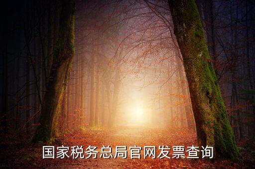 江蘇國稅如何查詢發(fā)票，江蘇發(fā)票真?zhèn)尾樵內(nèi)绾尾樵兘K發(fā)票真?zhèn)尾樵內(nèi)绾尾樵冏钪匾氖沁M