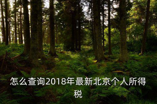 北京如何查詢個稅完稅證明，怎么查詢2018年最新北京個人所得稅