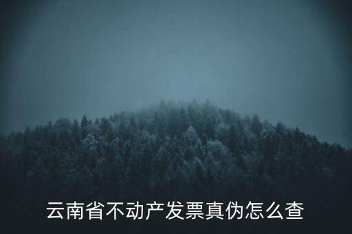 不動產(chǎn)統(tǒng)一發(fā)票如何查詢真?zhèn)?，銷售不動產(chǎn)統(tǒng)一發(fā)票真假怎么辨別