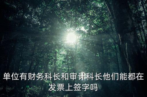 單位有財務科長和審計科長他們能都在發(fā)票上簽字嗎