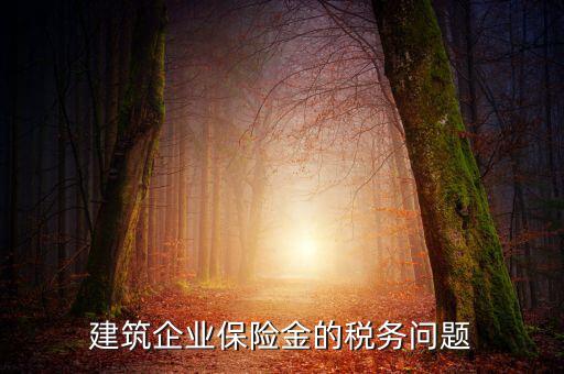 保險公司稅務(wù)管理如何處理，建筑企業(yè)保險金的稅務(wù)問題