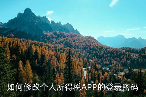 如何修改個人所得稅APP的登錄密碼