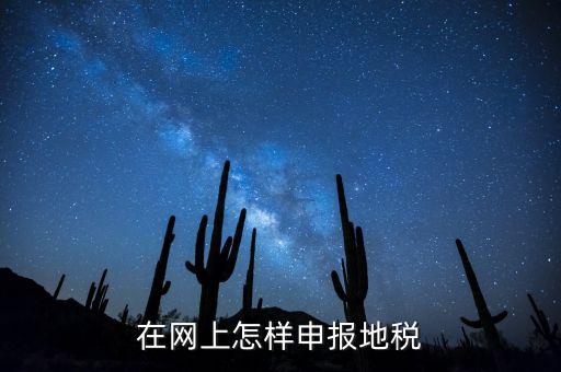 在網(wǎng)上怎樣申報(bào)地稅