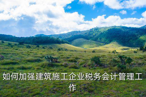 如何樹立大國稅務(wù)理念，稅務(wù) 如何 準確把握 六個體系