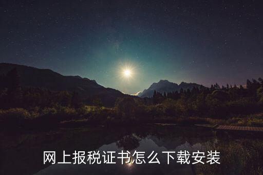 如何下載電子稅務印章，網(wǎng)上報稅證書怎么下載安裝