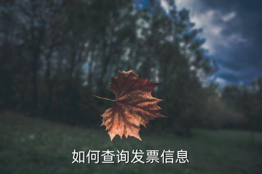 開票系統(tǒng)如何查詢票種，如何從金稅盤中看出公司票種