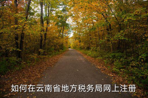 如何在云南省地方稅務局網(wǎng)上注冊