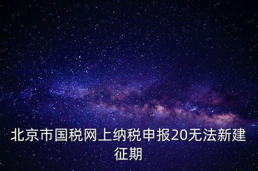 北京市國稅網(wǎng)上納稅申報20無法新建征期