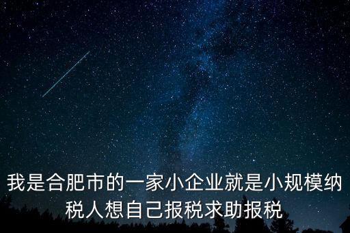 我是合肥市的一家小企業(yè)就是小規(guī)模納稅人想自己報稅求助報稅