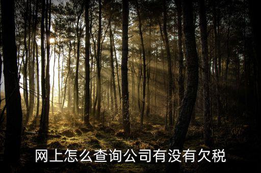 網(wǎng)上怎么查詢公司有沒有欠稅