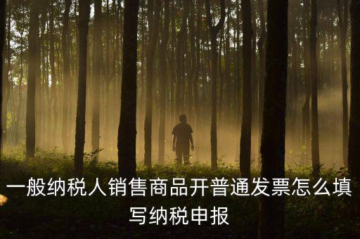 一般納稅人銷(xiāo)售商品開(kāi)普通發(fā)票怎么填寫(xiě)納稅申報(bào)
