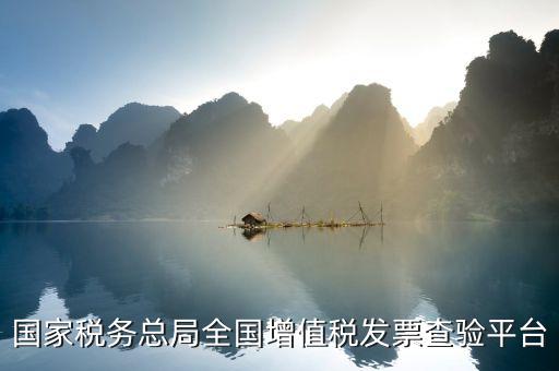 全國增值稅普通發(fā)票如何查詢系統(tǒng)，發(fā)票查驗在哪里查