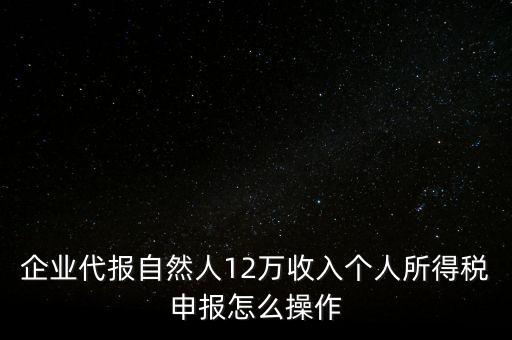 企業(yè)代報(bào)自然人12萬收入個(gè)人所得稅申報(bào)怎么操作