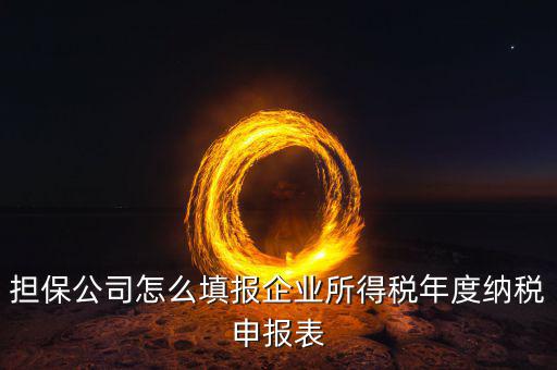 保險公司如何納稅申報，保險代理公司怎么向地稅申請代開發(fā)票