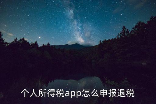 個人所得稅app怎么申報退稅