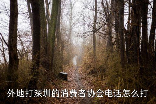 外地打深圳的消費(fèi)者協(xié)會(huì)電話怎么打