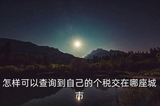 如何查詢個人所得稅所交地點，怎樣可以查詢到自己的個稅交在哪座城市