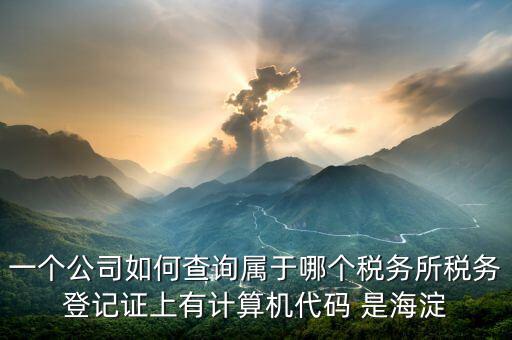 企業(yè)屬于哪個國稅分局如何查詢，怎么查詢公司的主管稅務機關