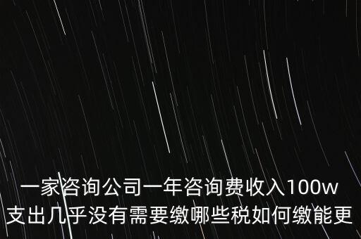 一家咨詢公司一年咨詢費收入100w支出幾乎沒有需要繳哪些稅如何繳能更