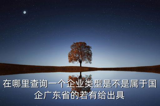 單位類型如何查詢，如何查詢企業(yè)管理類別