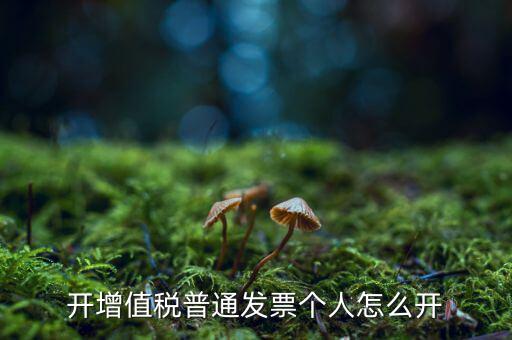 普票如何開給個人，增值稅普通發(fā)票開個人需要什么資料