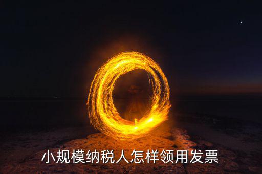 小規(guī)模納稅人怎樣領(lǐng)用發(fā)票