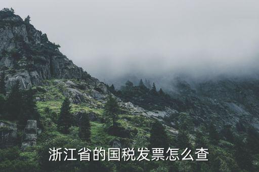 浙江的定額發(fā)票如何查詢，浙江省的國稅發(fā)票怎么查